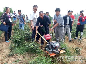 120名學員集中充電顆粒型茶葉加工技術
