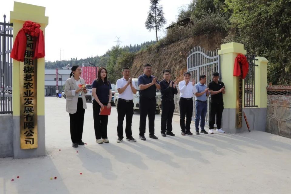 標準化引領(lǐng)新篇章 洛恩鄉(xiāng)茶葉加工廠正式投產(chǎn)助力茶產(chǎn)業(yè)升級