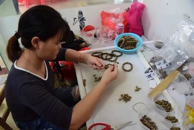 茂名沙垌村 以“一棵樹(shù)”為媒，茶香沉香共譜富民曲